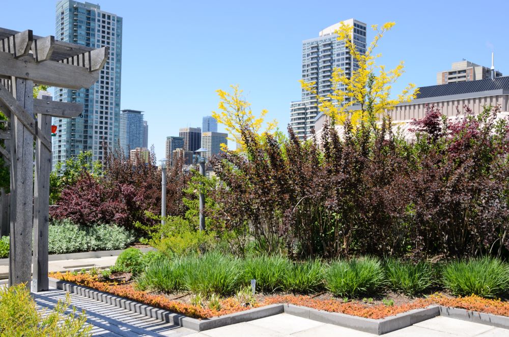 Green Roof Benefits and Regulations